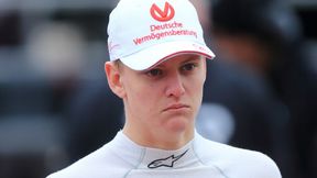 Jos Verstappen: Schumacher potrzebuje czasu