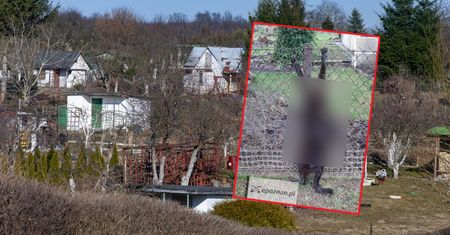 Makabra na działkach. Ktoś powiesił na płocie kota
