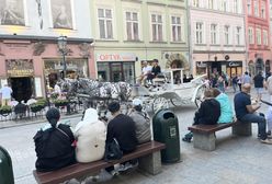 Oblegają Kraków. Widać ich na każdym kroku