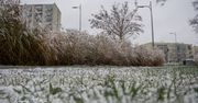 Mamy pierwszy śnieg