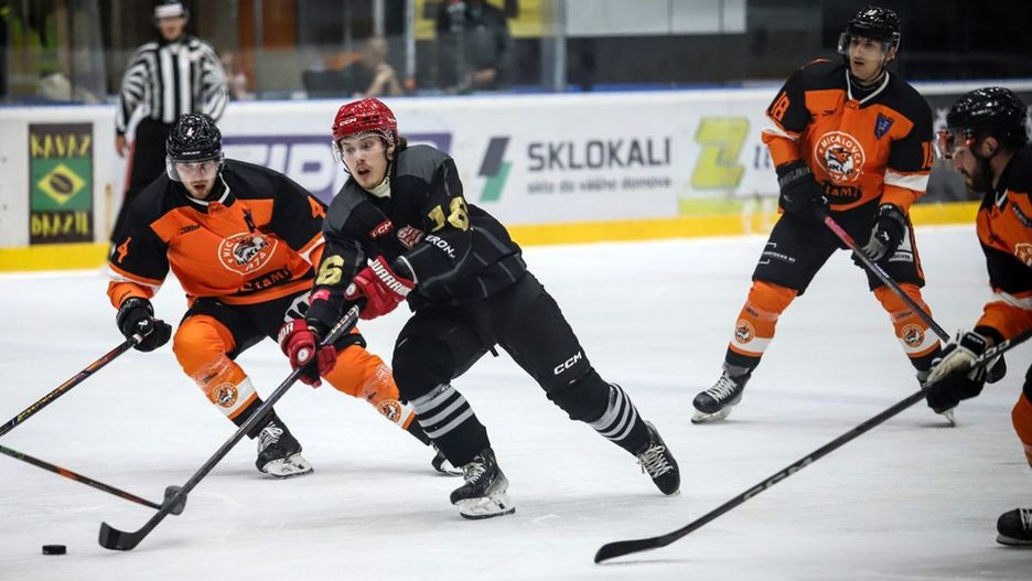 fot: cracovia-hokej.pl