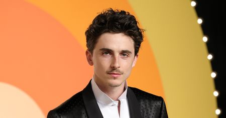 Timothée Chalamet ma Hollywood u stóp. Jak dotarł na szczyt?