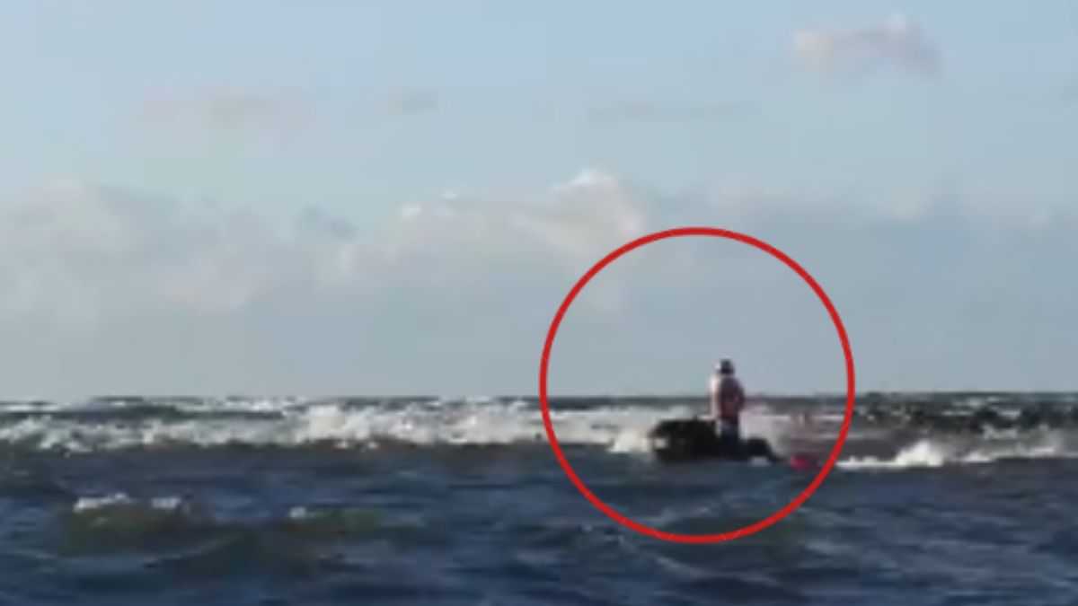 Płoszył foki w rezerwacie. Grożą mu konsekwencje. 