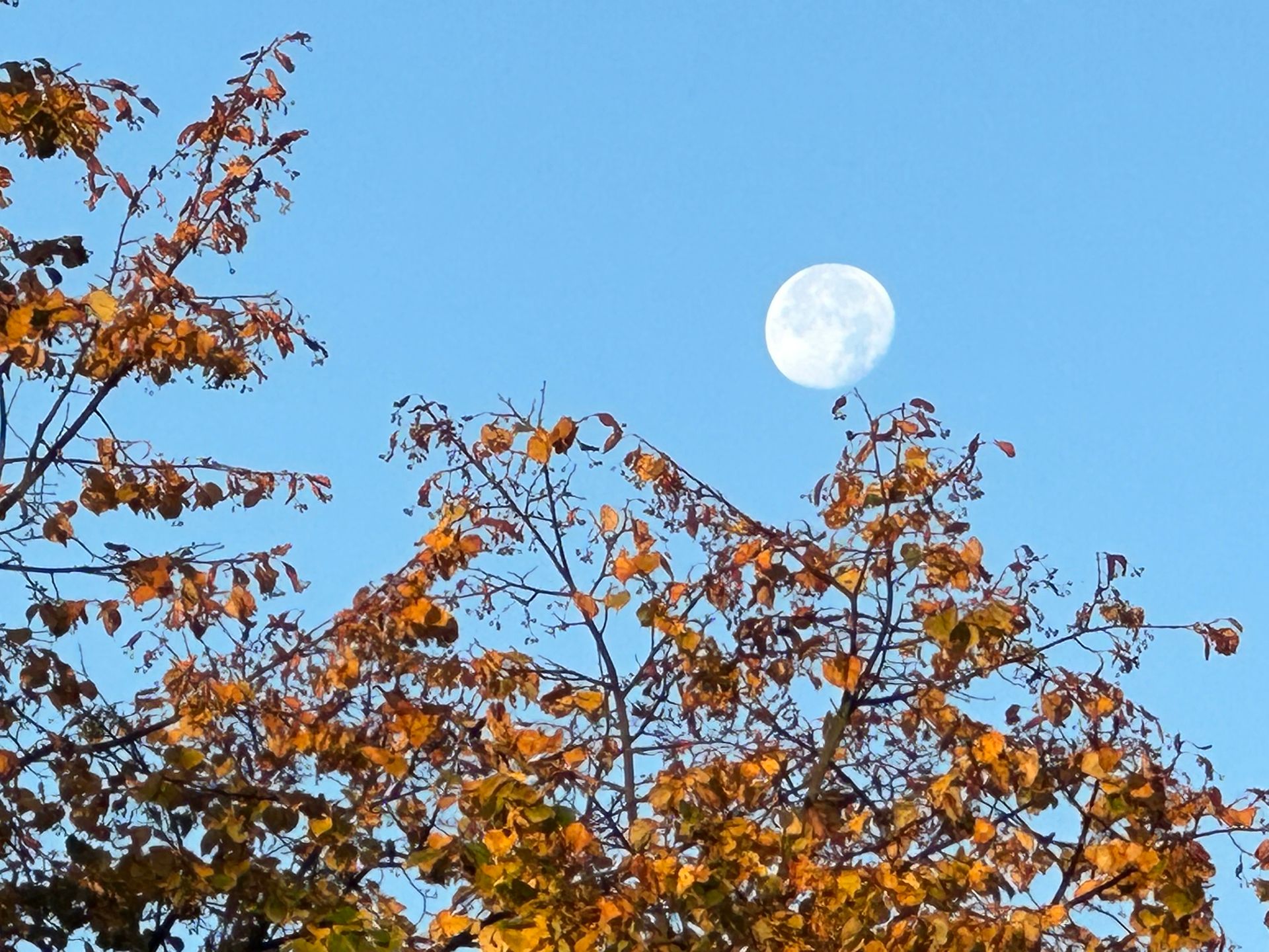 iPhone 14 Pro (zoom 15x)