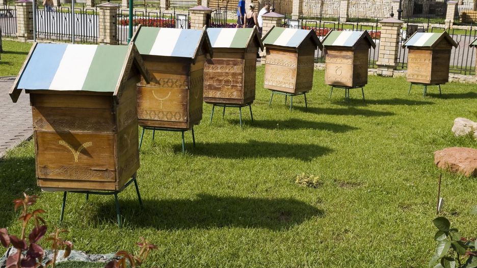 Atrakcje dla dzieci w Wielkopolsce