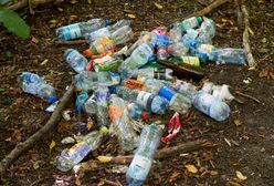 10 lat więzienia za zanieczyszczanie środowiska. Sprawdź nowe przepisy