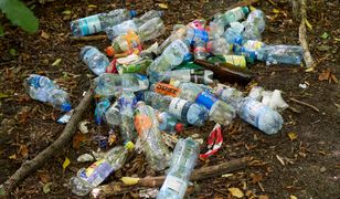 10 lat więzienia za zanieczyszczanie środowiska. Sprawdź nowe przepisy