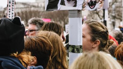 Aborcję chcą karać jak zabójstwo. Zbiórka podpisów ruszyła