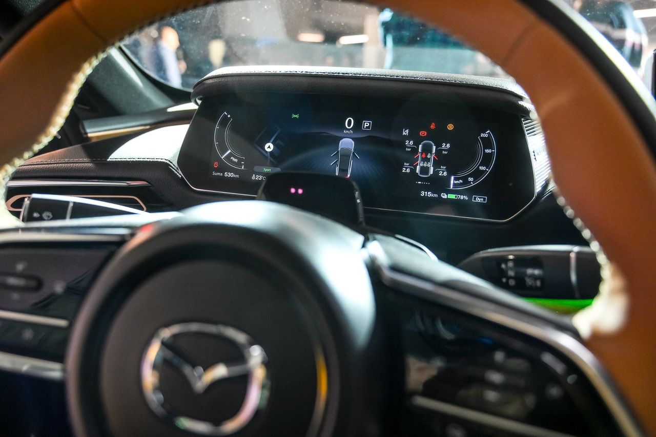 Leasing finansuje niemal połowę inwestycji firm. Polska liderem