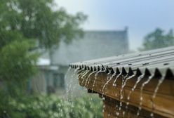 Woda deszczowa - odprowadzić czy zagospodarować?