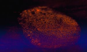 Powstał na Uniwersytecie Gdańskim. Ma pomóc w tropieniu przestępców