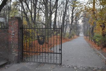 Kiedy byliście w parku w wałbrzyskim Sobiecinie? Może warto tam zajrzeć. Jest najstarszy w mieście