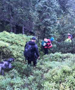 Tatry. TOPR o poszukiwaniach 40-latki. W akcji śmigłowiec, drony, psy tropiące