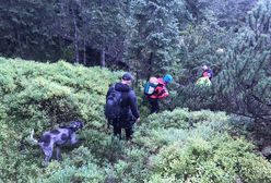 Tatry. TOPR o poszukiwaniach 40-latki. W akcji śmigłowiec, drony, psy tropiące