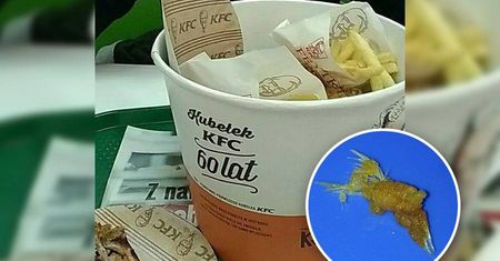 Miał być pyszny kurczak, a był z… piórami. KFC przeprasza