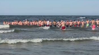 Łańcuch życia na plaży w Stegnie. "Już widziałam najgorszy scenariusz"