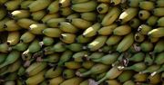 Skutek jedzenia bananów. Nie każdy zdaje sobie sprawę
