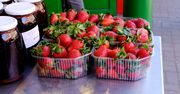 Tyle płaci za zbieranie Truskawek. Brakuje rąk do pracy