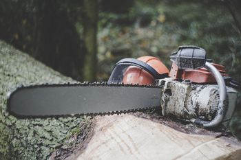 Rzeszów: Wycinka prawie 200 drzew przy Lisiej Górze. Urzędnicy chcą uzupełnienia wniosku