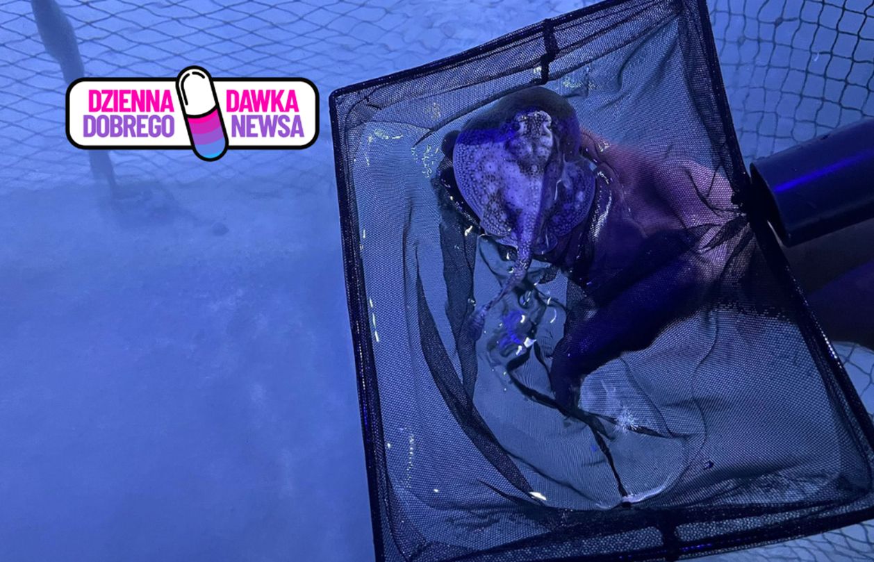 Niezwykłe narodziny w zoo. To pierwszy taki przypadek w Polsce