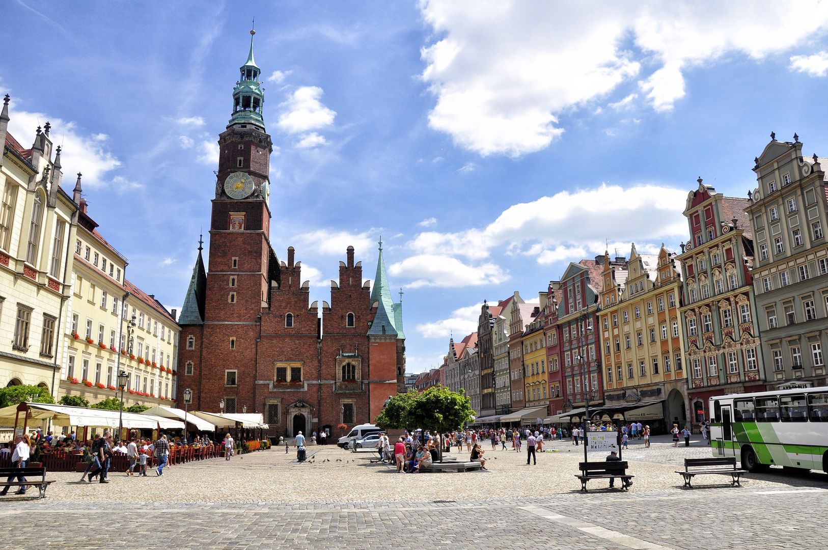 Wrocław walczy z plagą szczurów. Mają się tym zająć właściciele lokali