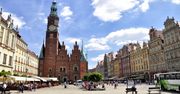 Wrocław walczy z plagą szczurów. Mają się tym zająć właściciele lokali