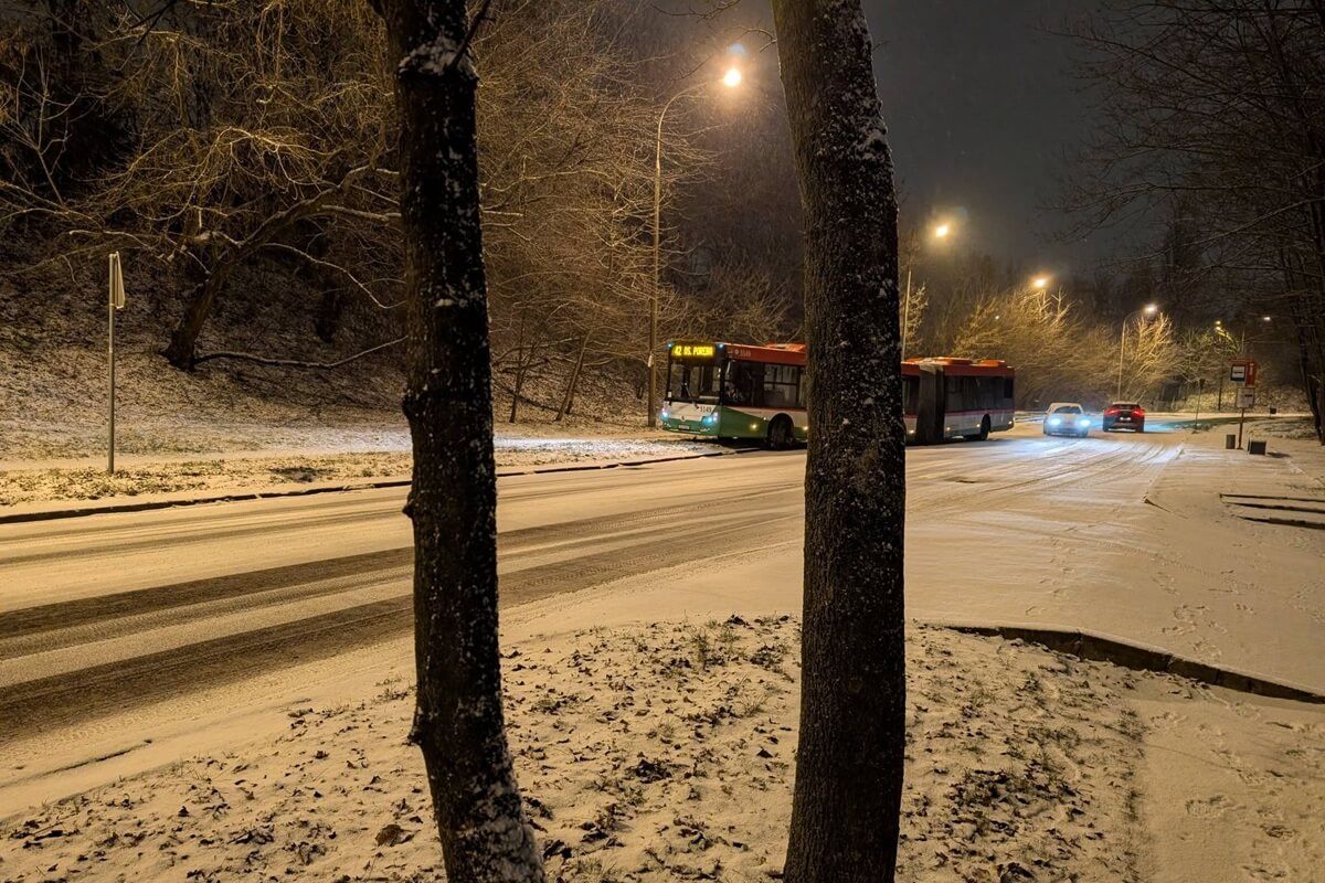 Autobus linii nr 42 wypadł z drogi