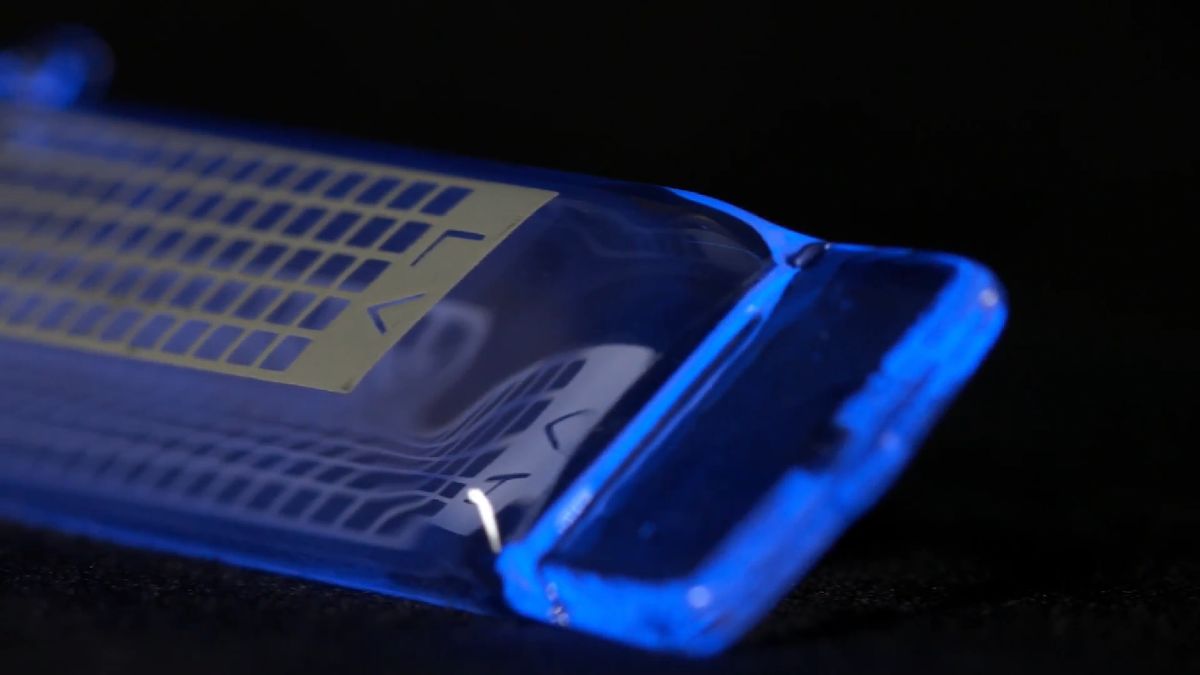 Lampa zabijająca koronawirusa? Japońska firma sprzedaje urządzenie za 3 tys. dolarów 1