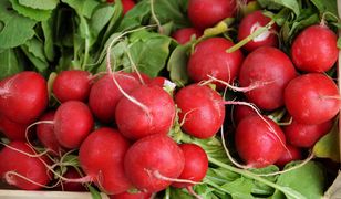 Tyle kosztuje rzodkiewka. Nie wszyscy będą z tego zadowoleni