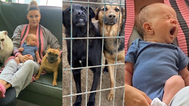 Małgorzata Rozenek i Henryk Majdan wspierają zwierzęta w schronisku w Radysach