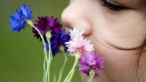 Raport Nikona: zapachy intensywnie inspirują Polaków do fotografowania 1