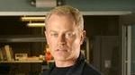 Neal McDonough
