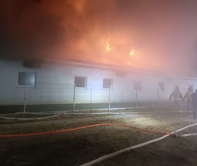 Wielki pożar na Pomorzu. Ogromne straty