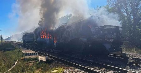 Wzięli je na cel. Tylko w tym roku trafili już 300