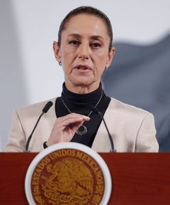Wojska USA wkroczą do Meksyku? Jest reakcja prezydent