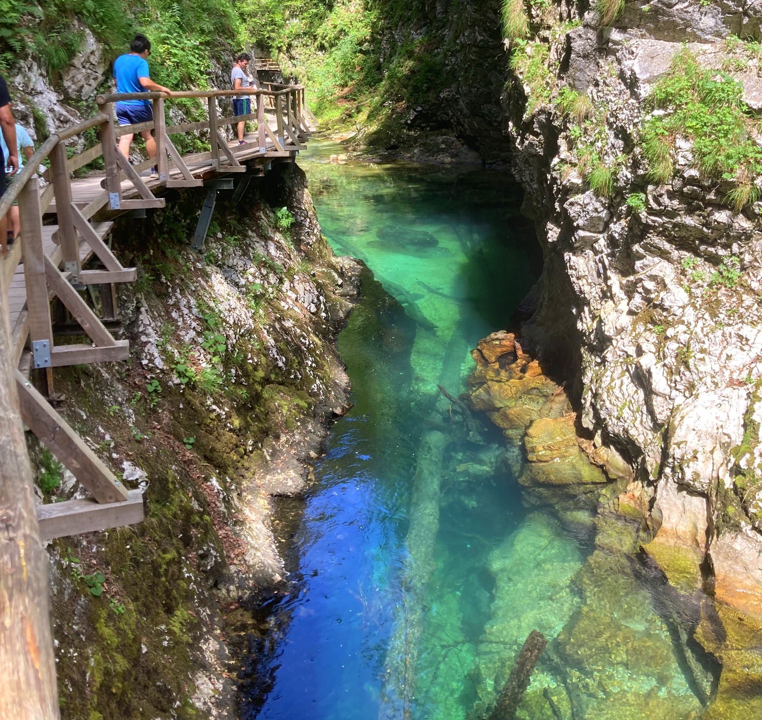 Wąwóz Vintgar to jedna z czołowych atrakcji Słowenii