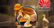 Huawei reklamuje działanie aparatu w serii P30 zdjęciami z lustrzanki