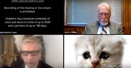 USA. Prawnik z Teksasu gwiazdą internetu. "Nie jestem kotem"