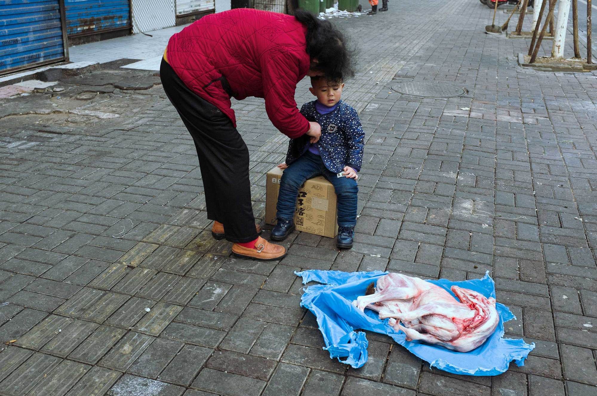 Tao Liu - fotograf amator z Chin, który stał się znany, dzięki humorystycznej fotografii ulicznej 26