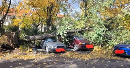 Wichura szaleje! Zniszczone samochody, przewrócone drzewa i uszkodzona katedra