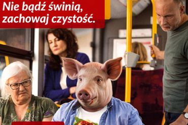 Wizerunek świni w jednej z reklam stołecznego ZTM
