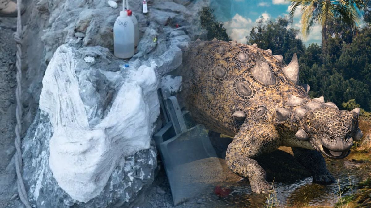 Badają najlepiej zachowany szkielet dinozaura w Portugalii