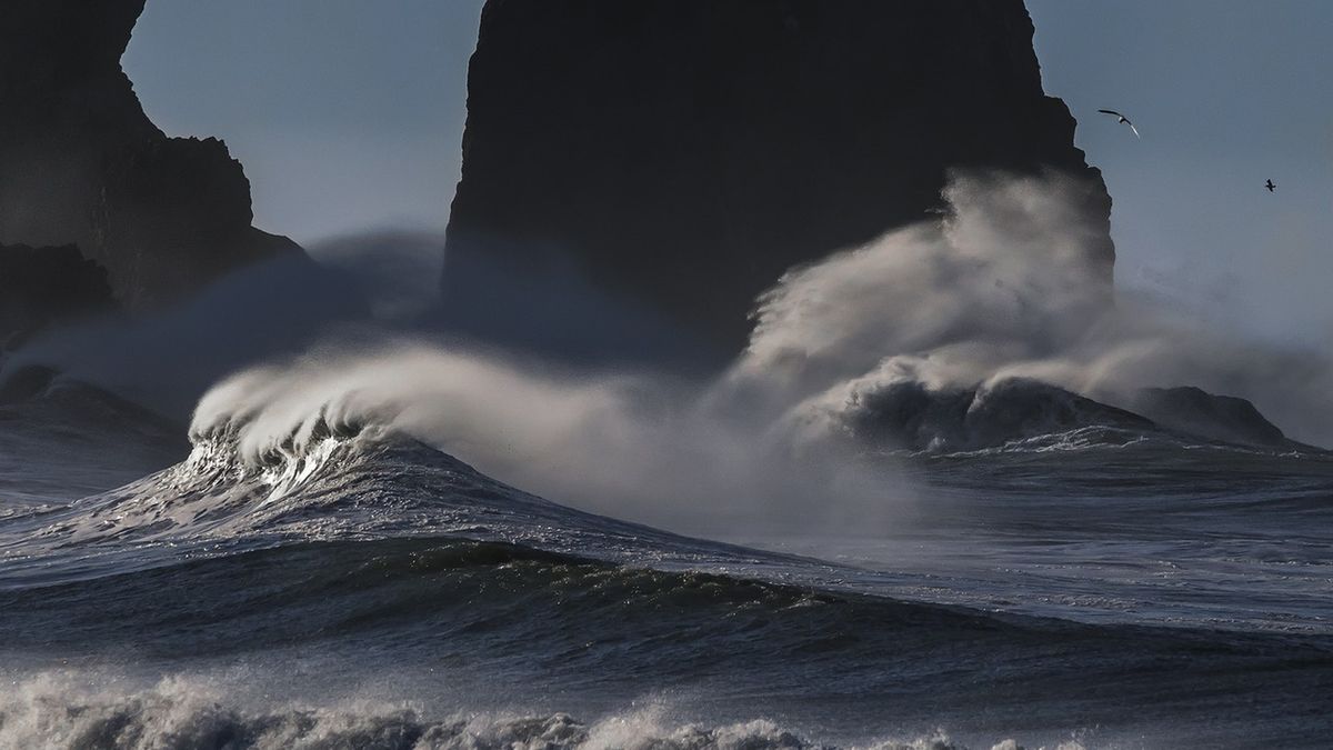 Wirus znaleziono w oceanie.