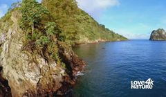 Kanał w jakości 4K testuje polską ścieżkę dźwiękową