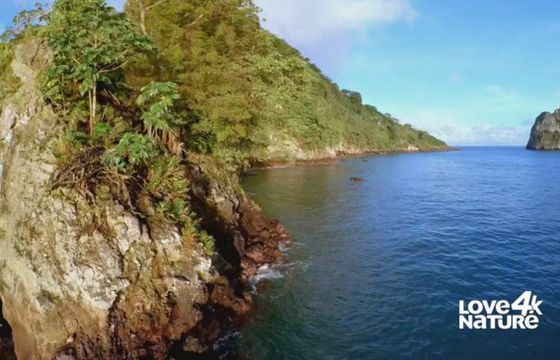 Kanał w jakości 4K testuje polską ścieżkę dźwiękową