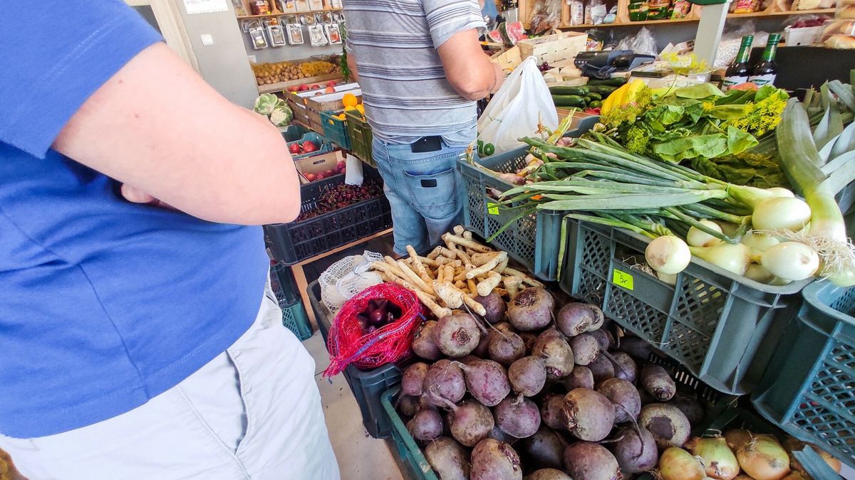 Reporter archiwum 2023 08
28.07.2023 Lodz Stragan warzywniczo-owocowy. Drastyczny wzrost cen zywnosci. Fot. Piotr Kamionka/REPORTER
Piotr Kamionka/REPORTER