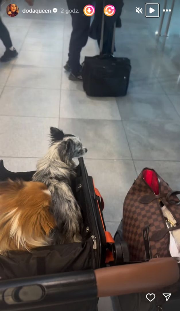 Doda mówi, jak potraktowała ją kobieca obsługa samolotu
