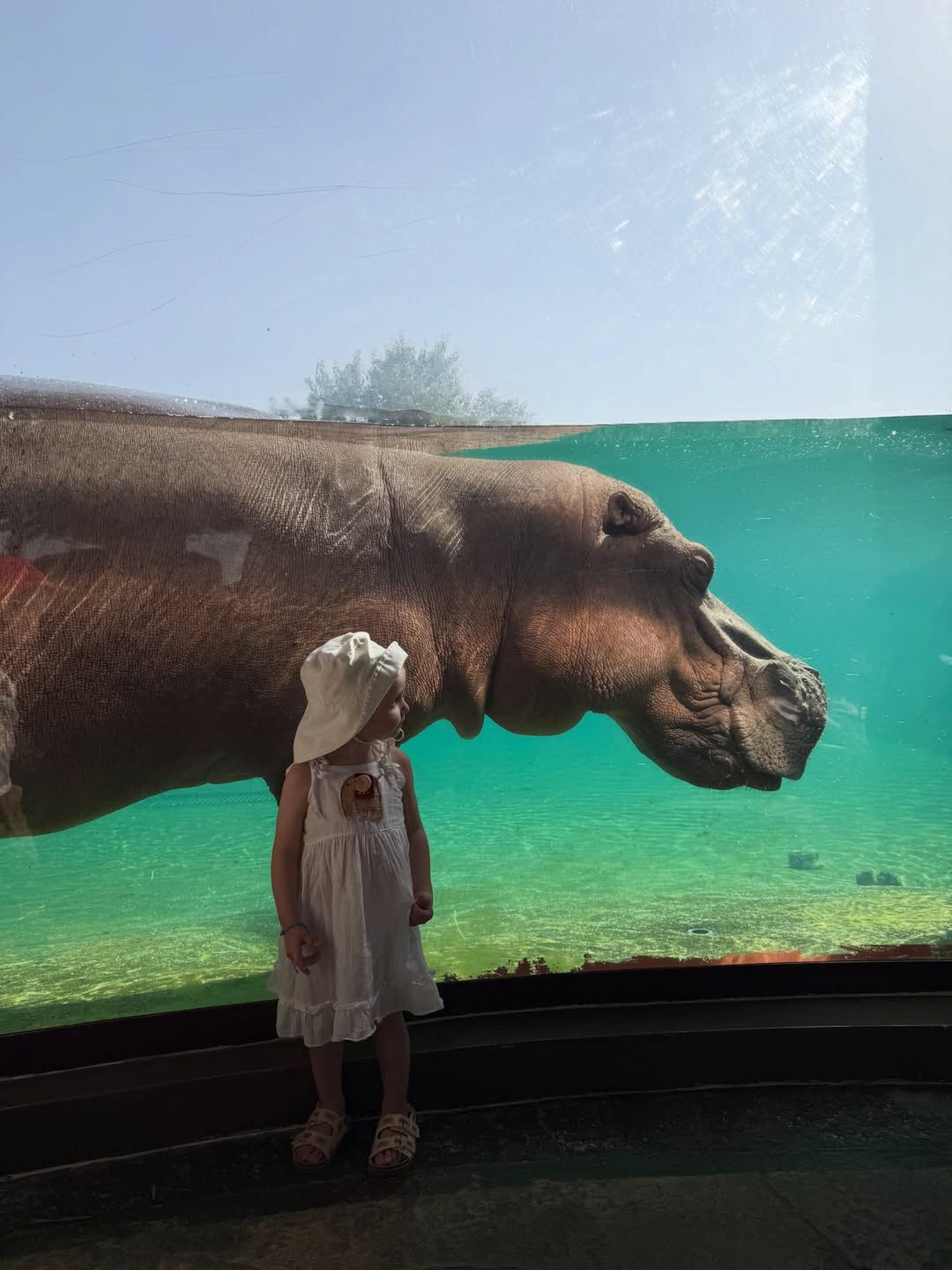 Rzeźniczakowie na wczasach