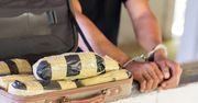 Nieudany kamuflaż w kontenerze na odpady. 31-latek z Katowic wpadł z kilogramem metamfetaminy