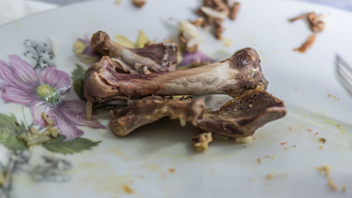 Gdzie powinno się wyrzucać kości kurczaka?